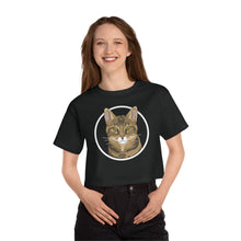 Load image into Gallery viewer, DSH Tabby | Champion Cropped Tee - Detezi Designs-79388668315542100292
