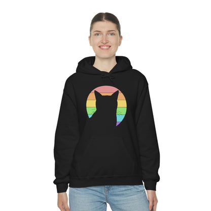 LGBTQ+ Pride | Cat Silhouette | Hooded Sweatshirt - Detezi Designs-33588194565721917090