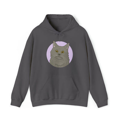 Maine Coon | Hooded Sweatshirt - Detezi Designs-12012583482422868642