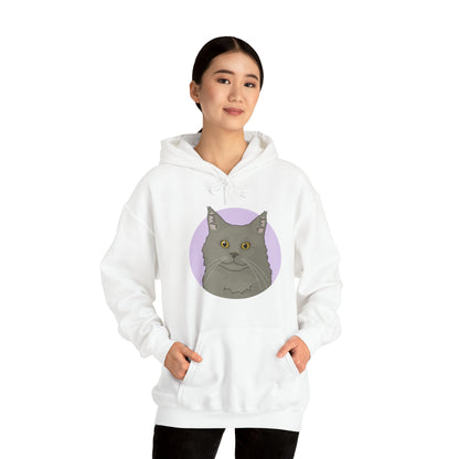 Maine Coon | Hooded Sweatshirt - Detezi Designs-26694729578481708813