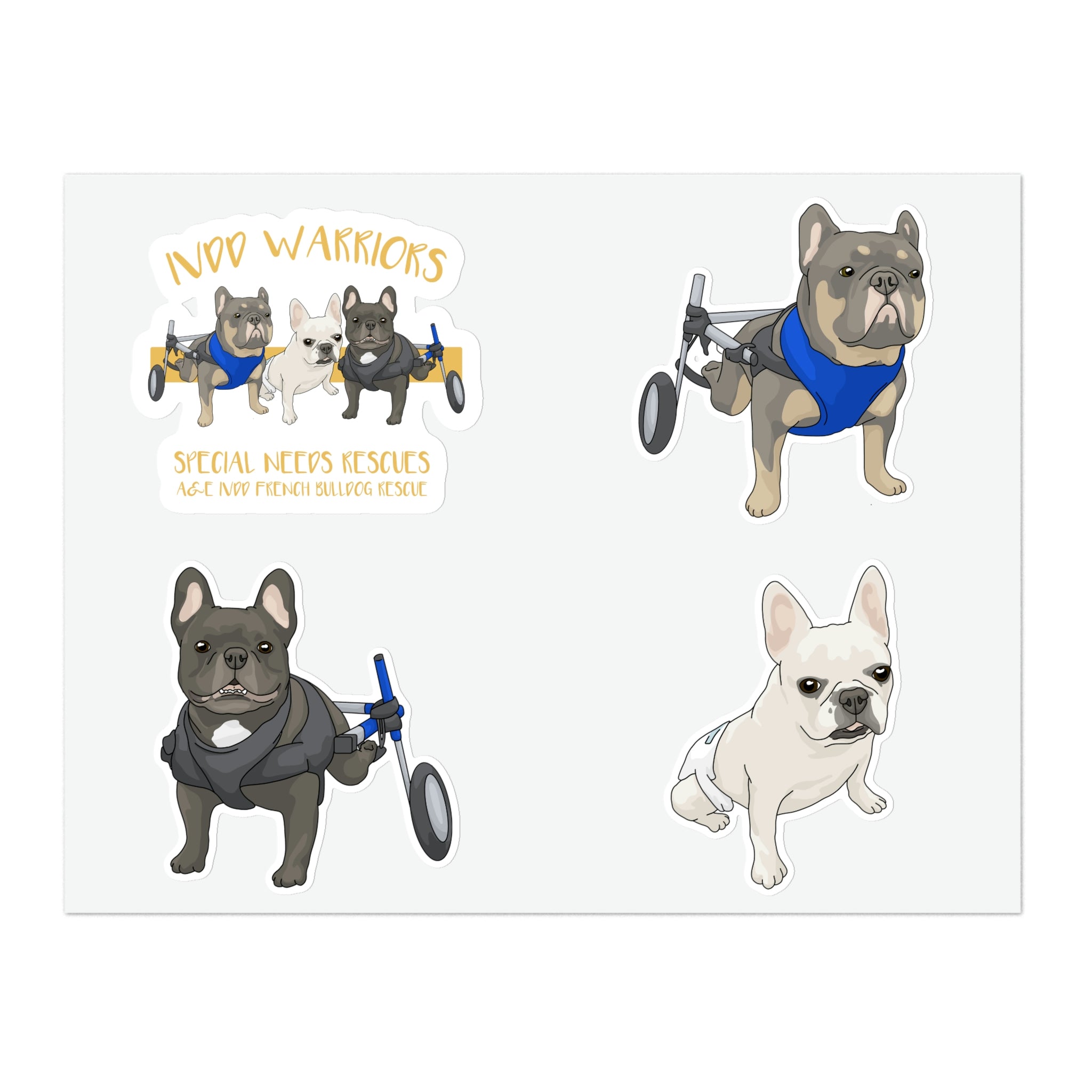 Ivdd best sale french bulldogs