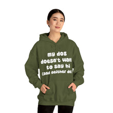Load image into Gallery viewer, My Dog Doesn&#39;t Want To Say Hi (And Neither Do I) | Hooded Sweatshirt - Detezi Designs-51106400296090407501
