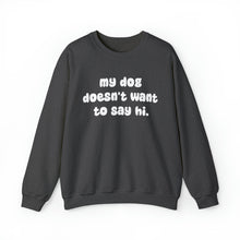 Load image into Gallery viewer, My Dog Doesn&#39;t Want To Say Hi | Crewneck Sweatshirt - Detezi Designs-26347204309776178485
