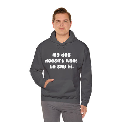 My Dog Doesn't Want To Say Hi | Hooded Sweatshirt - Detezi Designs-26345871524428372623