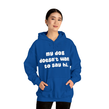 My Dog Doesn't Want To Say Hi | Hooded Sweatshirt - Detezi Designs-26345871524428372623