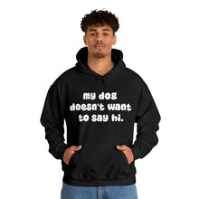 Load image into Gallery viewer, My Dog Doesn&#39;t Want To Say Hi | Hooded Sweatshirt - Detezi Designs-26345871524428372623

