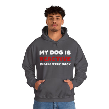 My Dog Is Reactive | 2-Sided Print | Hooded Sweatshirt - Detezi Designs-14542342069560145809