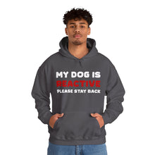 Load image into Gallery viewer, My Dog Is Reactive | 2-Sided Print | Hooded Sweatshirt - Detezi Designs-14542342069560145809
