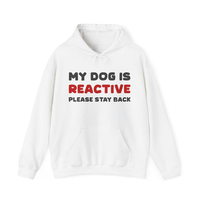 My Dog Is Reactive | 2-Sided Print | Hooded Sweatshirt - Detezi Designs-32924581739862666470