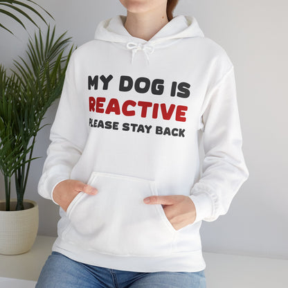 My Dog Is Reactive | 2-Sided Print | Hooded Sweatshirt - Detezi Designs-59687095173411405886