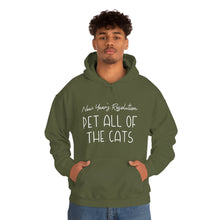 Load image into Gallery viewer, New Year&#39;s Resolution: Pet All Of The Cats | Hooded Sweatshirt - Detezi Designs-22319935389254848909
