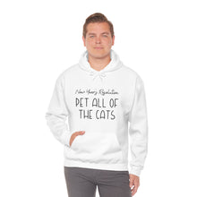Load image into Gallery viewer, New Year&#39;s Resolution: Pet All Of The Cats | Hooded Sweatshirt - Detezi Designs-22442523223581664009
