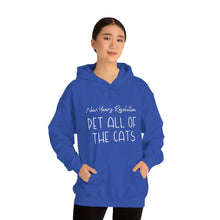 Load image into Gallery viewer, New Year&#39;s Resolution: Pet All Of The Cats | Hooded Sweatshirt - Detezi Designs-27869618780103682328
