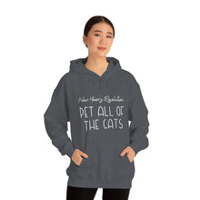 Load image into Gallery viewer, New Year&#39;s Resolution: Pet All Of The Cats | Hooded Sweatshirt - Detezi Designs-58865182030970015368

