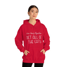 Load image into Gallery viewer, New Year&#39;s Resolution: Pet All Of The Cats | Hooded Sweatshirt - Detezi Designs-95040535415424136283
