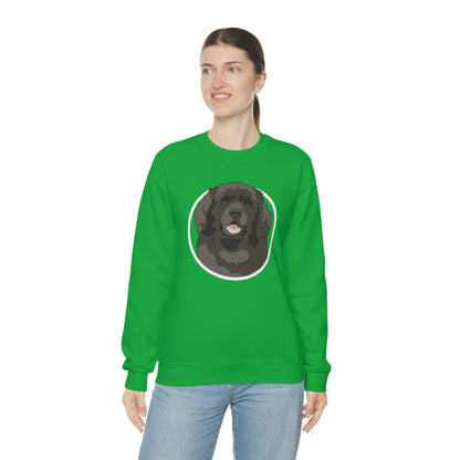 Newfoundland Circle | Crewneck Sweatshirt - Detezi Designs-29712187026188742176