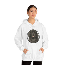 Load image into Gallery viewer, Newfoundland Circle | Hooded Sweatshirt - Detezi Designs-12121486203807580887
