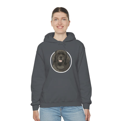 Newfoundland Circle | Hooded Sweatshirt - Detezi Designs-12121486203807580887