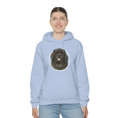 Newfoundland Circle | Hooded Sweatshirt - Detezi Designs-12121486203807580887