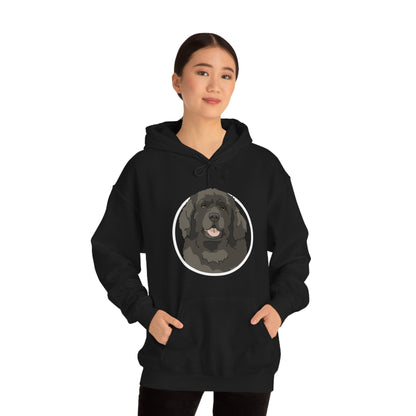 Newfoundland Circle | Hooded Sweatshirt - Detezi Designs-12121486203807580887