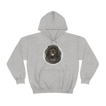 Newfoundland Circle | Hooded Sweatshirt - Detezi Designs-32612349032953518023