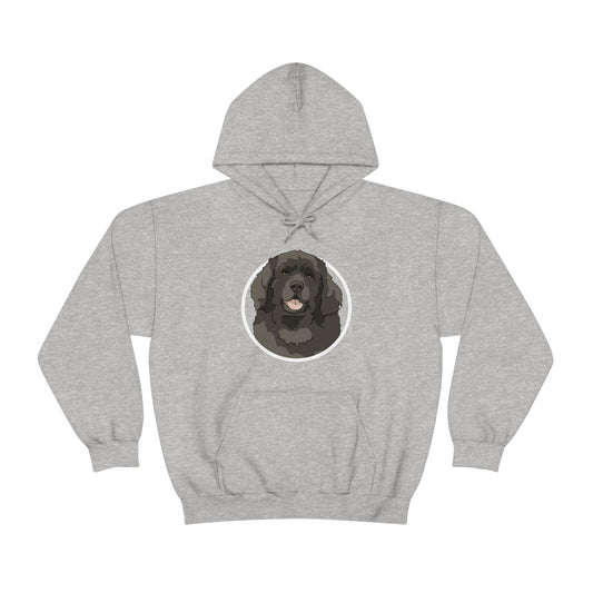 Newfoundland Circle | Hooded Sweatshirt - Detezi Designs-32612349032953518023