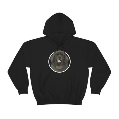 Newfoundland Circle | Hooded Sweatshirt - Detezi Designs-54597619114196904012