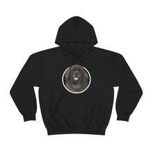Load image into Gallery viewer, Newfoundland Circle | Hooded Sweatshirt - Detezi Designs-54597619114196904012
