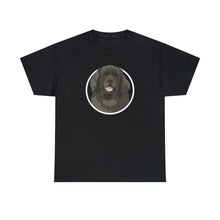 Load image into Gallery viewer, Newfoundland Circle | T-shirt - Detezi Designs-25967203823533698689
