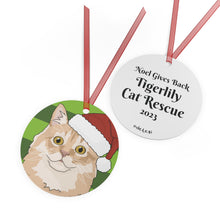 Load image into Gallery viewer, Noel | FUNDRAISER for Tigerlily Cat Rescue | 2023 Holiday Ornament - Detezi Designs-21476157427878055454
