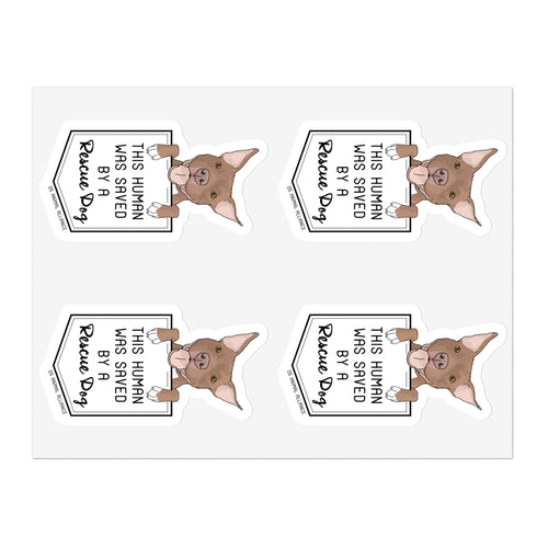 Pony Boy | FUNDRAISER for District 5 Animal Alliance | Sticker Sheets - Detezi Designs-12463780807658379520