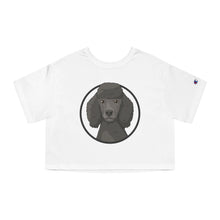 Load image into Gallery viewer, Poodle | Champion Cropped Tee - Detezi Designs-28277821221396092969
