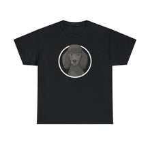 Load image into Gallery viewer, Poodle Circle | T-shirt - Detezi Designs-29216067851738932055
