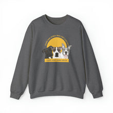Load image into Gallery viewer, Poppi, Hector, and Jesse | FUNDRAISER for Clarke County Animal Shelter | Crewneck Sweatshirt - Detezi Designs-17560206931723330701
