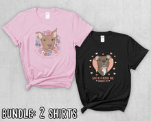 Load image into Gallery viewer, Teacher&#39;s Pet Fundraiser Bundle: Two T-shirts - Detezi Designs-TPF001
