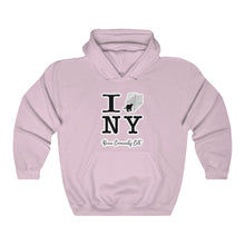 Load image into Gallery viewer, TNRM NY | FUNDRAISER for Bronx Community Cats | Hooded Sweatshirt - Detezi Designs-32731182729124502700
