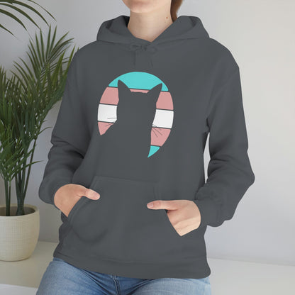 Trans Pride | Cat Silhouette | Hooded Sweatshirt - Detezi Designs-32184851719695668482