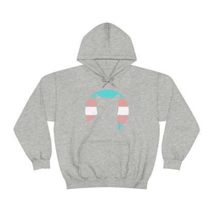 Trans Pride | Cat Silhouette | Hooded Sweatshirt - Detezi Designs-45444722257247633546