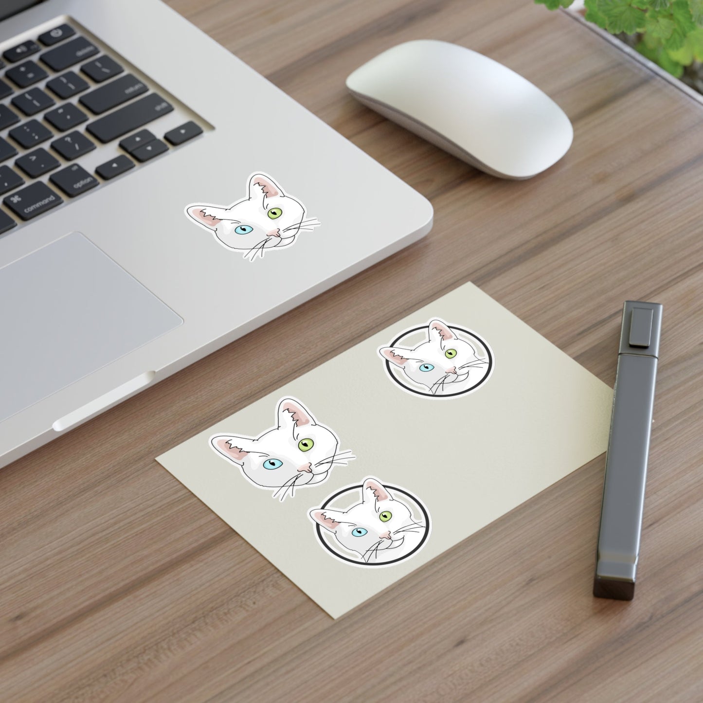 White DSH Cat | Sticker Sheet - Detezi Designs-15252987751851711966