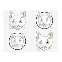 Load image into Gallery viewer, White DSH Cat | Sticker Sheet - Detezi Designs-28098728150580918707
