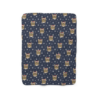 Winter DSH Tabby Cat Blanket | Sherpa Fleece - Detezi Designs-10302214384218084644