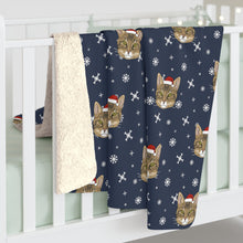 Load image into Gallery viewer, Winter DSH Tabby Cat Blanket | Sherpa Fleece - Detezi Designs-10302214384218084644
