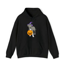 Load image into Gallery viewer, Witchy Puppy | Hooded Sweatshirt - Detezi Designs-12298078067138677772
