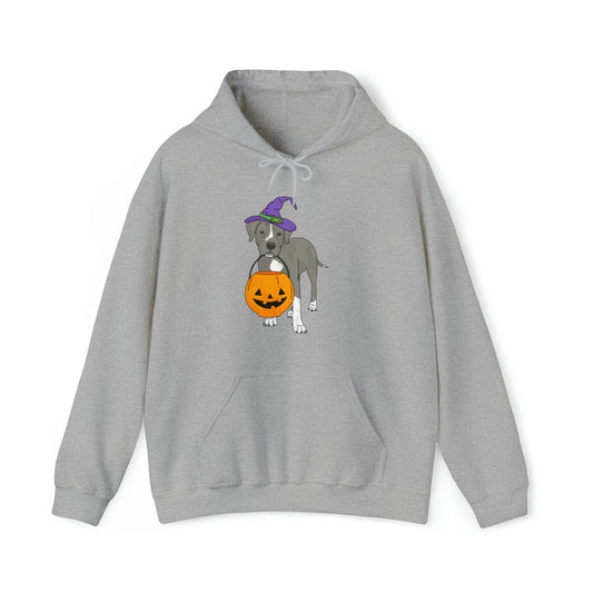 Witchy Puppy | Hooded Sweatshirt - Detezi Designs-26959109699515651093